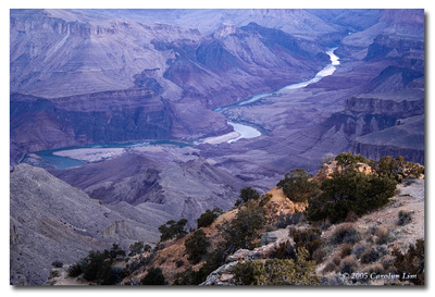 View of the Colorado River