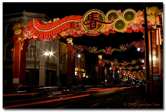 Lunar New Year 2009