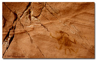 Insect Pictograph