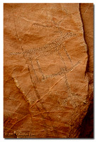 Petroglyph - Deer Reflection