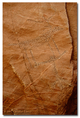 Petroglyph - Deer Reflection