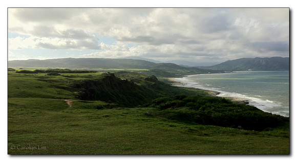 The Green Green Grass at Longpan